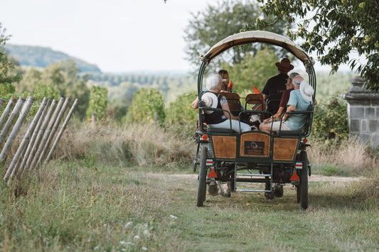 Carte Cadeau « Le vignoble en calèche »