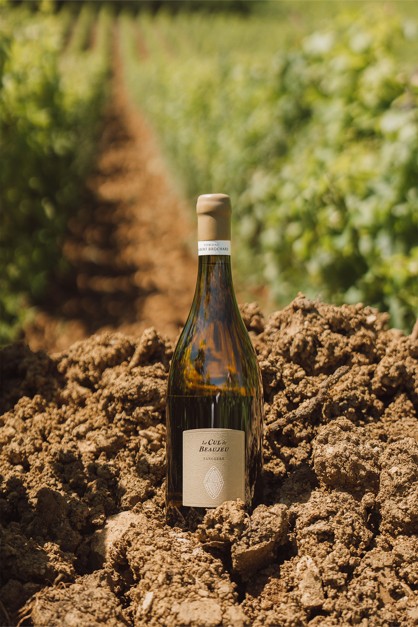 Sancerre, Le Cul de Beaujeu, (Terres de Caillottes), 2022