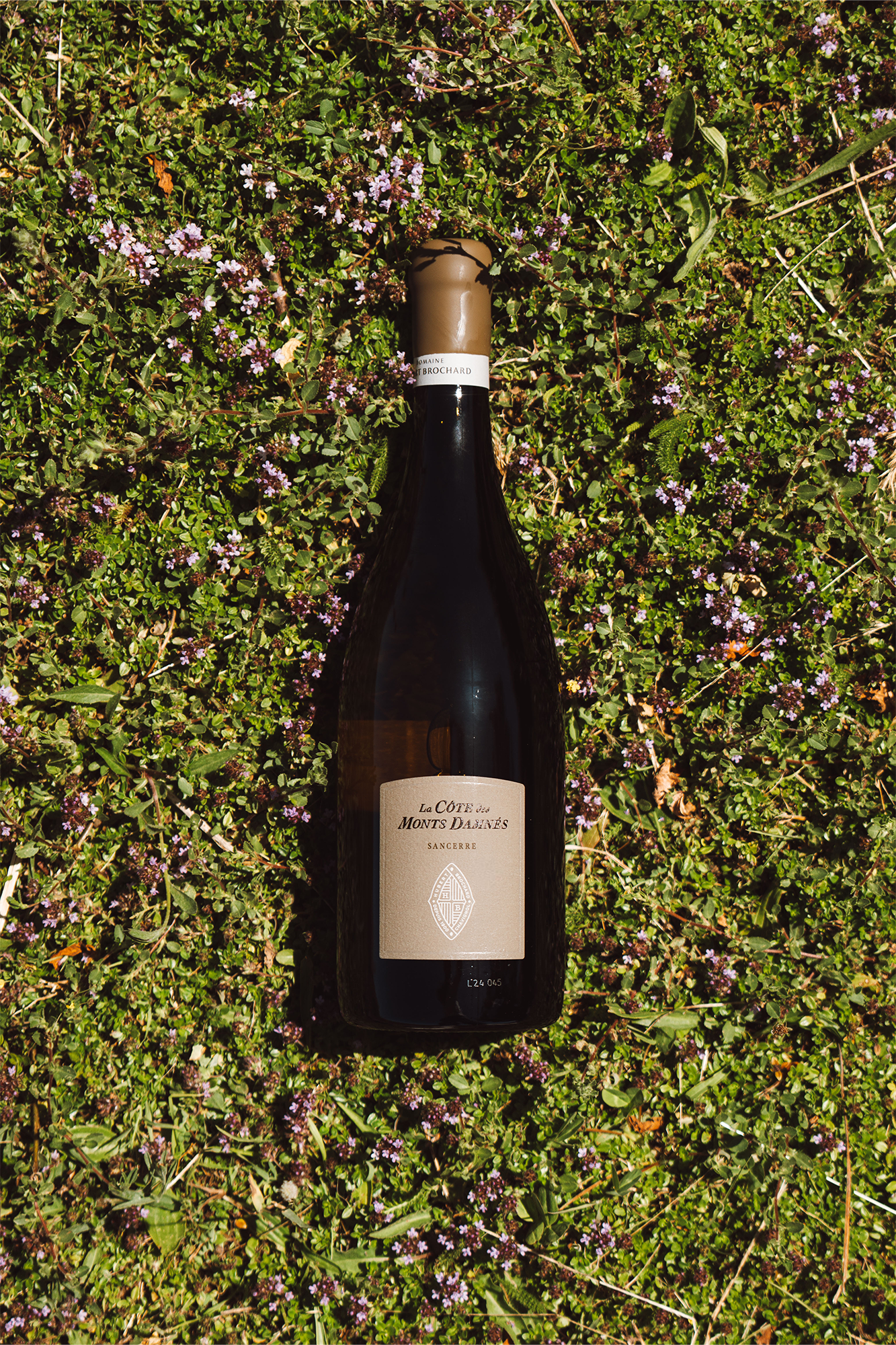 Sancerre, La Côte des Monts Damnés, (Terres de Caillottes), 2023