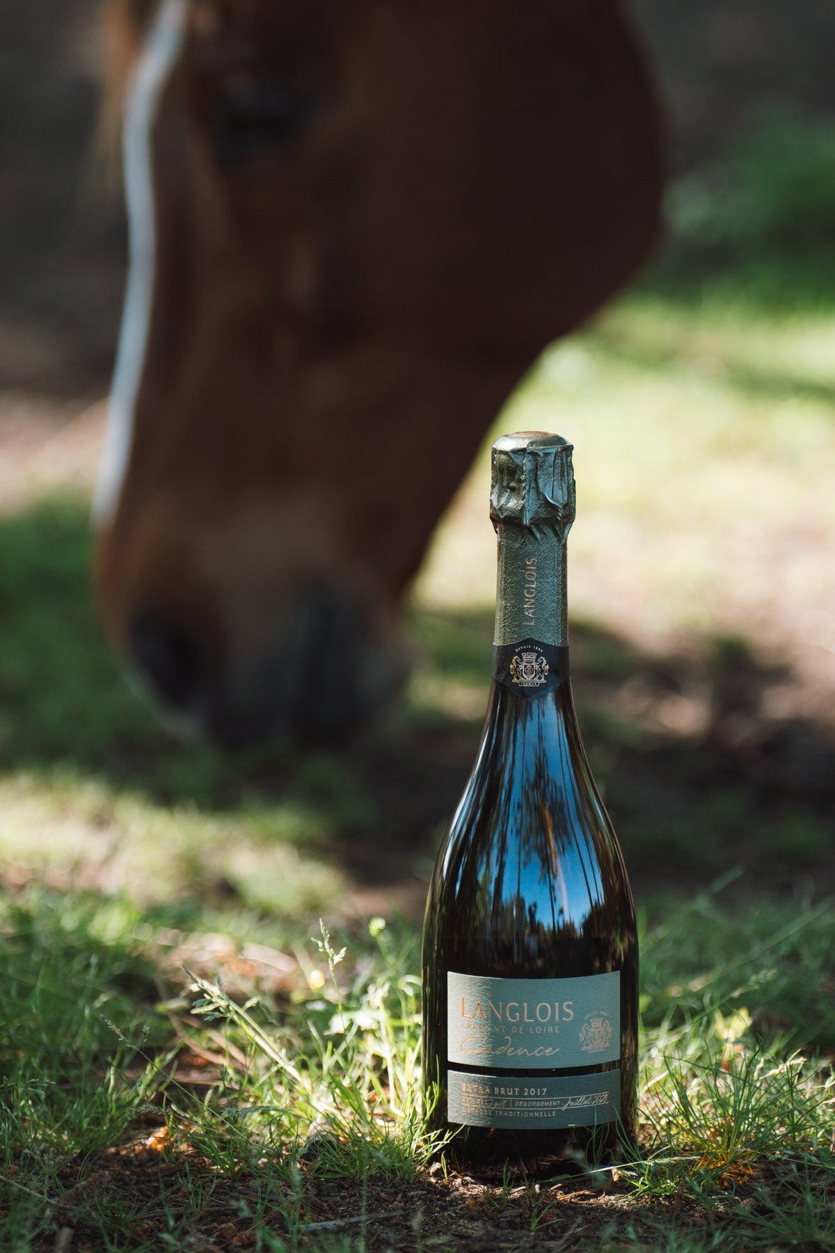 Beautyshot de la cuvée Langlois Cadence Extra-Brut 2017